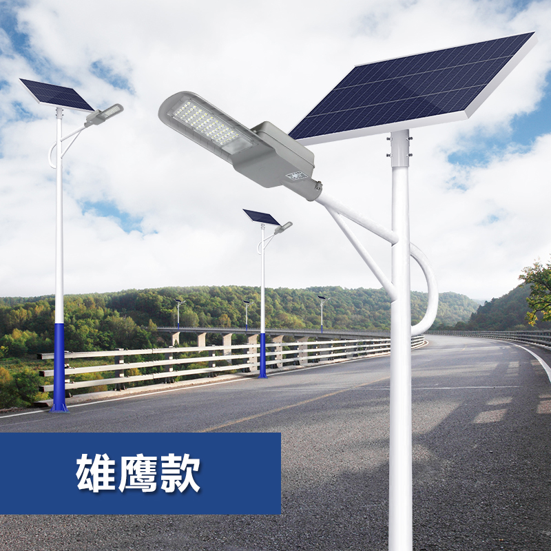 LED太陽(yáng)能路燈-雄鷹